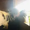 jameshibberd91 - @jameshibberd91 - TikTok