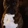 James High - @james.high8 - TikTok