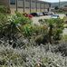 St James High School-Covimvaba - Facebook