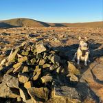 James Higham - @james_higham1 - Instagram