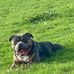 James Higham - Facebook