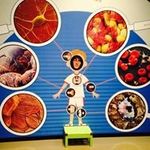 Yuki Higuchi - @higuchijamesgun - Instagram