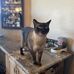 James Hiler - Facebook