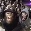 James Hill - @james.hill281 - TikTok