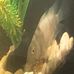 James Hillenburg - Facebook