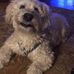 James Hills - Facebook