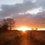 James Hillyear - @jameshillyear8 - Instagram