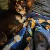 James Shiner - @james.shiner4 - TikTok
