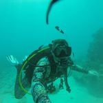 James Hines - @jameshines_submerged - Instagram