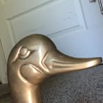 James Hinkley - @_08_tr_250 - Instagram
