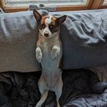 James Hiott - @night62505 - Instagram
