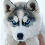 james hiser - @james.hiser - Instagram