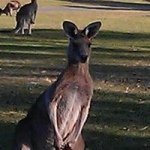 James Hislop - @jameshislop58 - Instagram