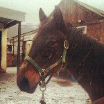 James Hislop - @jameshislop98 - Instagram