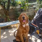 James Hiu - Facebook