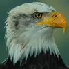James Hoisington - @james.hoisington1 - TikTok