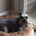 James Holick - Facebook