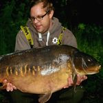 James Holifield - @holifield1988 - Instagram