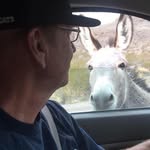 Jim Hollen - @jameshollen - Instagram