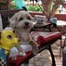 James Hollenbach - Facebook