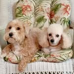 James Hollenbach - @hollenbach3323 - Instagram