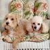 James Hollenbach - Facebook