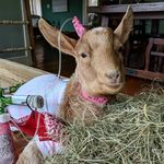 James Holter - @james.holter12 - Instagram