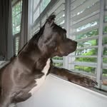 James Holtzclaw - @j_claw76 - Instagram
