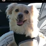 James holy - @james_holy997 - Instagram