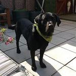 James Hoole - @hoolejames - Instagram