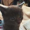jameshorak322 - @jameshorak322 - TikTok