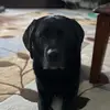 JamesHorler - @jameshorler - TikTok