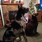 Jim Horler - Facebook