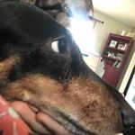 James Hornaday - @hornadayjames - Instagram