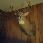 James Horsey - @horsey.james - Instagram