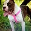 James Hosack - @james.hosack - TikTok