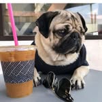 James Hosier - @james.hosier.58 - Instagram
