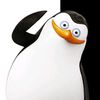 james host - @james.host0 - TikTok
