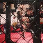 James Hourican - @jimbobhurricane - Instagram