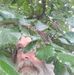 James Hourigan - Facebook