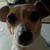 jameshourigan08 - @jameshourigan08 - TikTok
