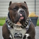 James Householder - @buckeyewolf69 - Instagram