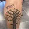 jameshowse7 - @james.howse - TikTok