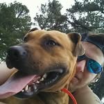 James Huckeba - @jameshuckeba - Instagram