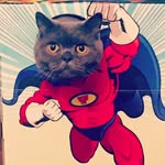 James Huffkins - @jameshuffkins - Instagram
