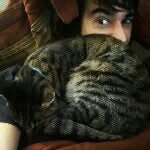 James Hilliard - @jameshumanbellacat - Instagram