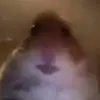 James Human - @james_human_2000 - TikTok