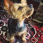 James Human - @jamez_human - Instagram