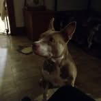 James Hundley - Facebook