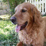 Wrigley Raymond James Hundley - @wrigleyjameshundley - Instagram